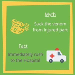 Snake Venom Myth